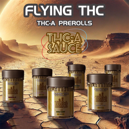 FLYING HORSE THC-A SAUCE PRE ROLLS 2GM/50CT/JAR