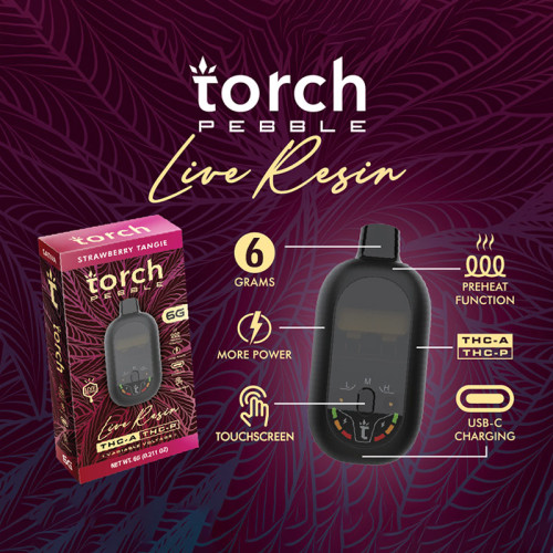 Torch Pebble Live Resin Disposable Vape 6gm/5ct/pk