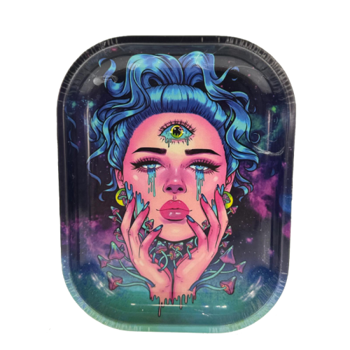 Metal Rolling Tray W/Magnetic Lid - Small