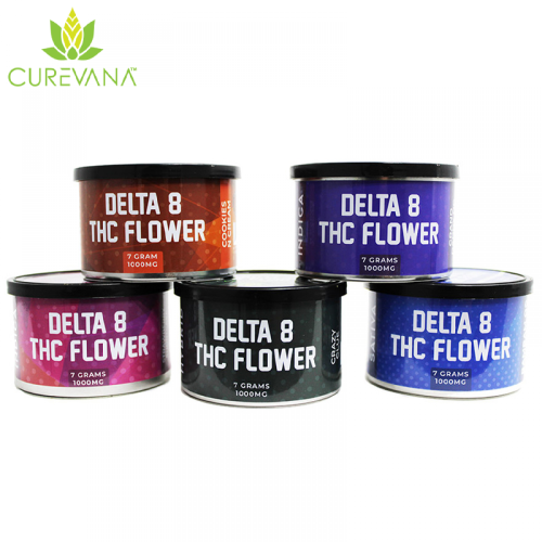 CUREVANA THC-O FLOWER 7GM/1000MG/JAR     